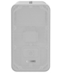 DS-QAE0420G1-V Głośnik analogowy