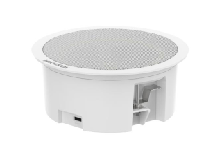 DS-QAZ0206G1-S Głośnik analogowy