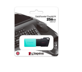 DTXM/256GB  Pendrive 256GB DataTraveler Exodia M KINGSTON