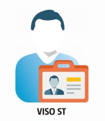 LIC-VISO-BASE-ST Licencja na program zarządzający RASC5